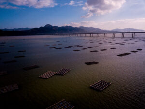DJI_0029