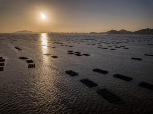 DJI_0164-HDR